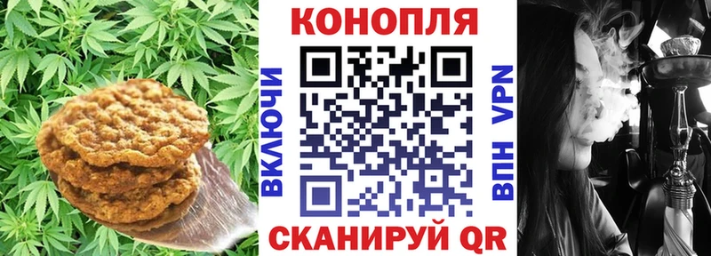 Canna-Cookies марихуана  Купить закладки  Красный Сулин 