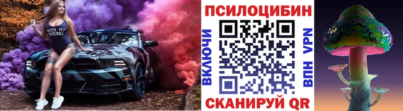 Купить где  Красный Сулин  Галлюциногенные грибы MAGIC MUSHROOMS 